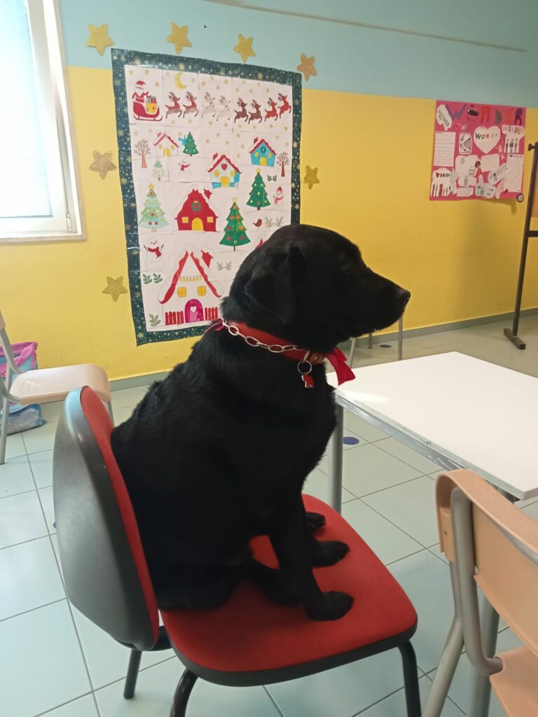 A scuola con Aida: a Canetra e Cittaducale i bimbi in classe avranno una compagna di banco davvero speciale!